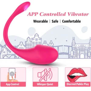 Remote Control Panty Vibrator
