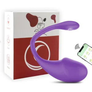 Remote Control Panty Vibrator